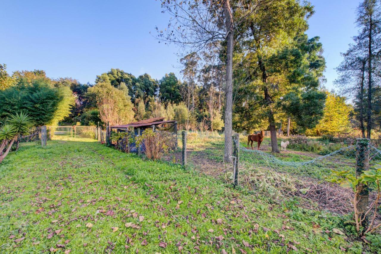 Casa Do Moinho Rural Campo E Praia , 9 Pessoas, Animais Benvindos إسبِنو المظهر الخارجي الصورة