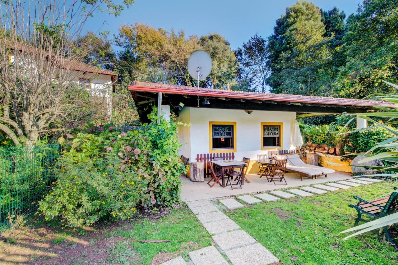 Casa Do Moinho Rural Campo E Praia , 9 Pessoas, Animais Benvindos إسبِنو المظهر الخارجي الصورة
