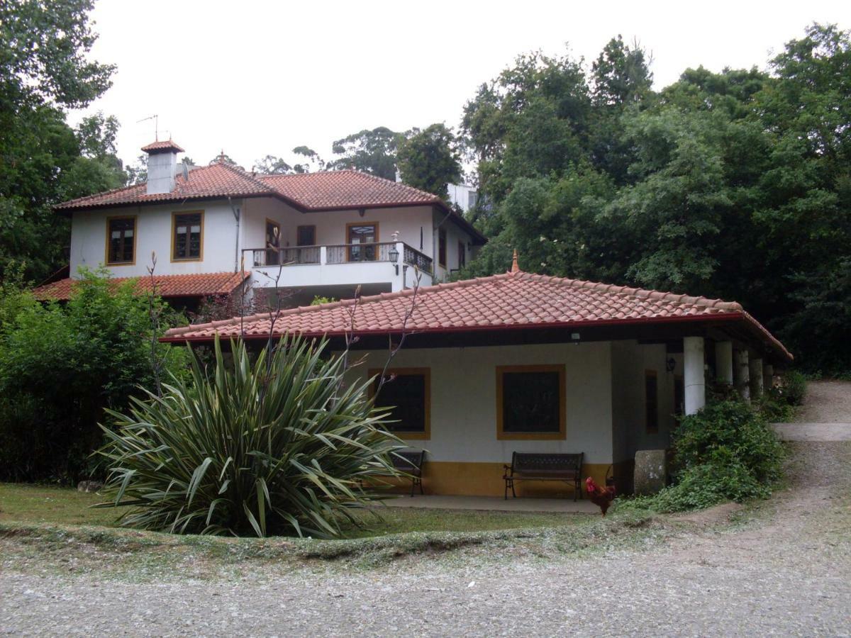 Casa Do Moinho Rural Campo E Praia , 9 Pessoas, Animais Benvindos إسبِنو المظهر الخارجي الصورة