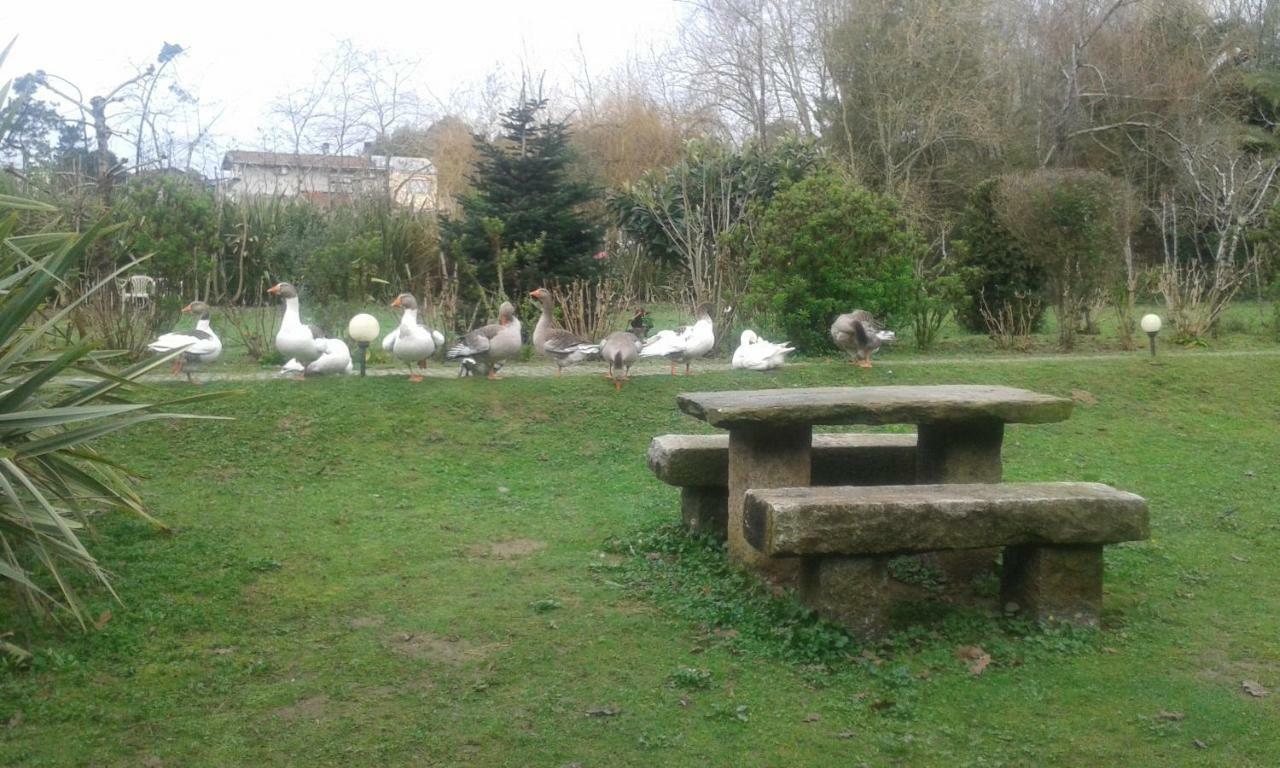 Casa Do Moinho Rural Campo E Praia , 9 Pessoas, Animais Benvindos إسبِنو المظهر الخارجي الصورة
